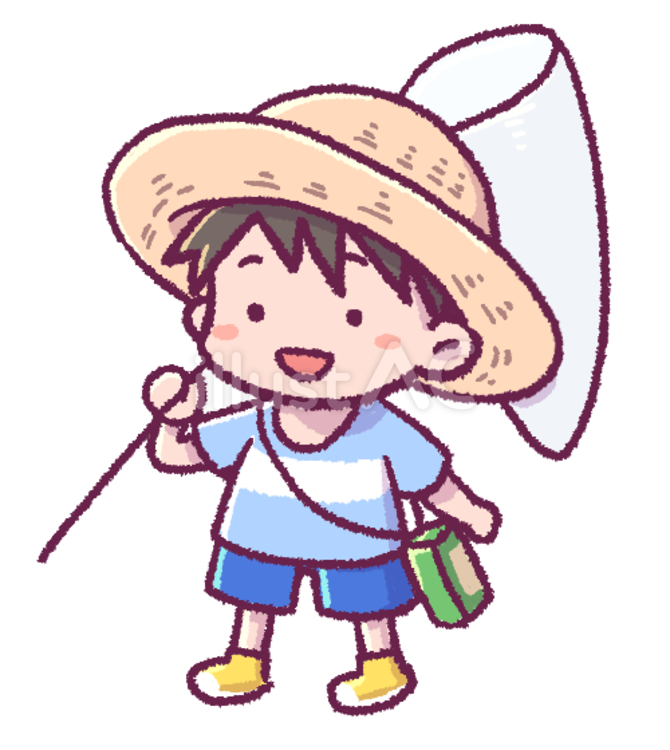 夏休みに虫取りをする少年の手描きイラスト 虫取り,男の子,夏のイラスト素材