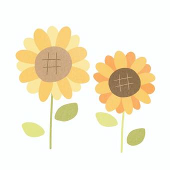 向日葵 向日葵,花,夏,絵本,可愛い,ゆるい,手描き,デコレーション,素材,挿絵のイラスト素材