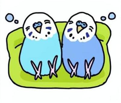 ソファでくつろぐセキセイインコ セキセイインコ,インコ,鳥,ペット,小鳥,コンパニオンバード,リラックス,ソファ,仲良しのイラスト素材