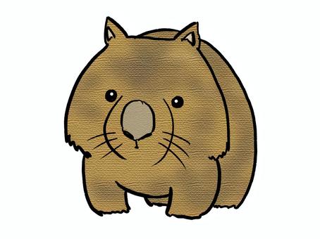 Illustration, animal, tiny, wombat, 