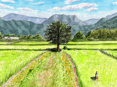 真夏の静寂 風景画,風景,水彩画,スケッチ,ペンスケッチ,田んぼ,あぜ道,木,花,稲穂のイラスト素材