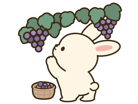 秋うさぎ（ぶどう狩り） うさぎ,ぶどう狩り,秋,収穫,フルーツ,おでかけ,動物,かわいい,おしゃれ,ワンポイントのイラスト素材