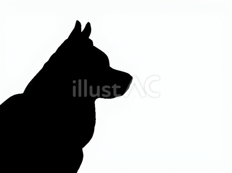 犬。。 犬,シルエット,動物のイラスト素材
