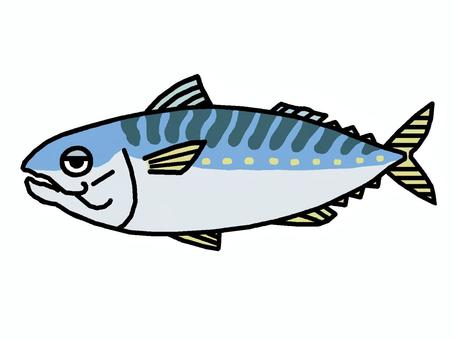サバ サバ,魚,食用,脊椎動物,スズキ目,イラストのイラスト素材