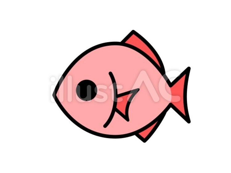 魚　ノーマル　赤 魚,動物,生き物のイラスト素材