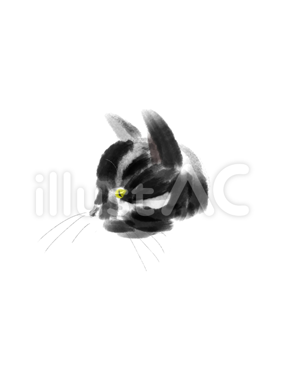猫横顔1 猫,黒白猫,子猫のイラスト素材