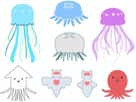 くらげ 生き物,海,海洋生物,くらげ,クリオネ,たこ,いかのイラスト素材