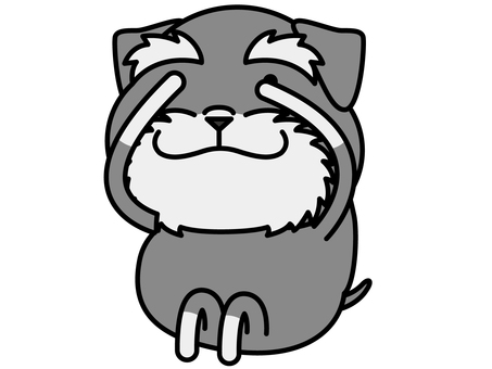 シュナウザーさん チラ見 チラ見,覗き見,シュナウザー,恐る恐る,キャラクター,犬,小型犬,動物,哺乳類,ベクターのイラスト素材