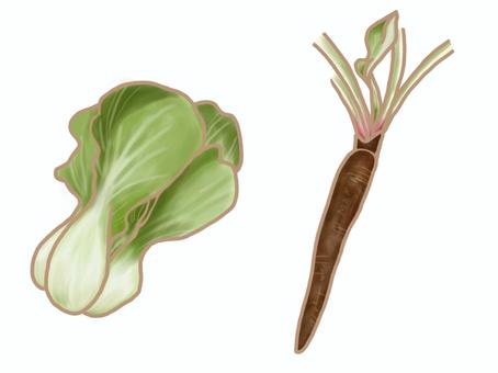 チンゲン菜とミニごぼう 野菜,チンゲン菜,ごぼう,葉物,根野菜,緑,茶色のイラスト素材