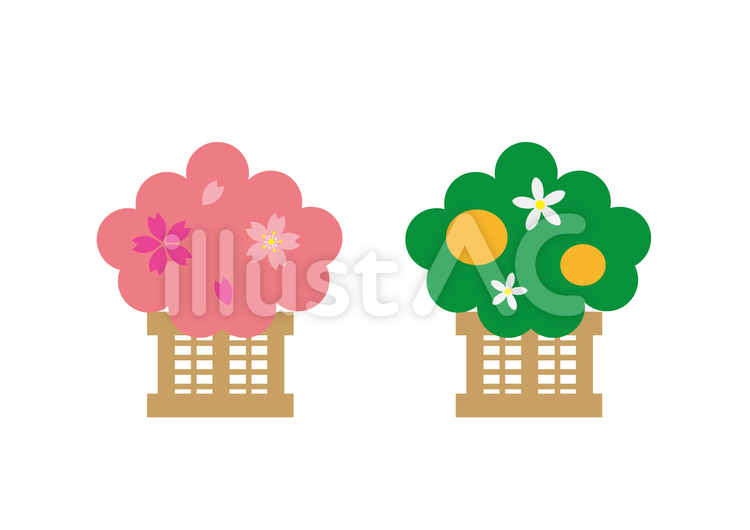 桜と橘　線なし 桜,橘,ひな祭りのイラスト素材