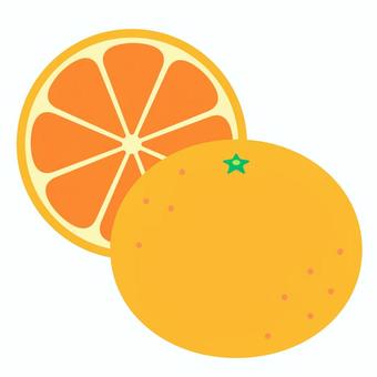 みかん_断面_後ろ みかん,断面,冬の果物,果物,冬,アイコン,シンプル,背景透過,透過,イラストのイラスト素材