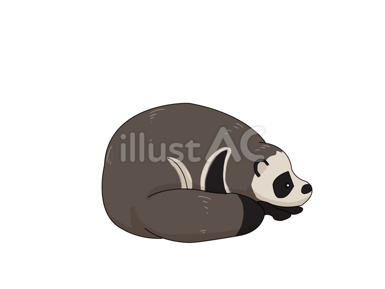 タヌキ（休む） タヌキ,動物,日本のイラスト素材