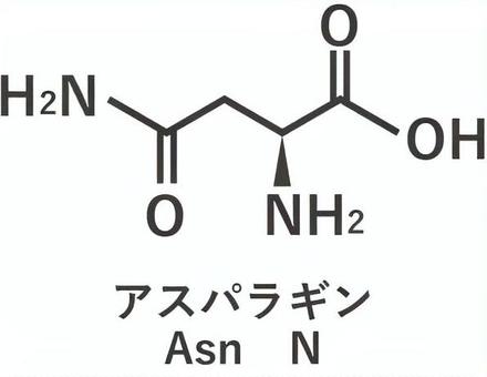 アスパラギン アミノ酸,成分,構造式,化学式,栄養素のイラスト素材