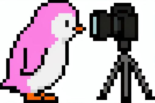 ドット絵のカメラに近づくピンクのペンギン ドット絵,ペンギン,接近,近づく,シンプル,カメラ目線,アップ,正面,どアップ,動物のイラスト素材