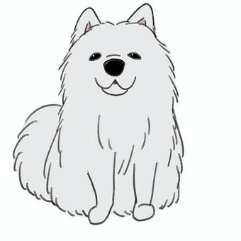 もふもふの大型犬 犬,大型犬,動物,ペット,サモエド,白毛,もふもふ,かわいい,手描きのイラスト素材