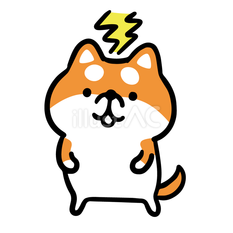 頭上に雷が落ちる柴犬 柴犬,赤柴,茶柴のイラスト素材