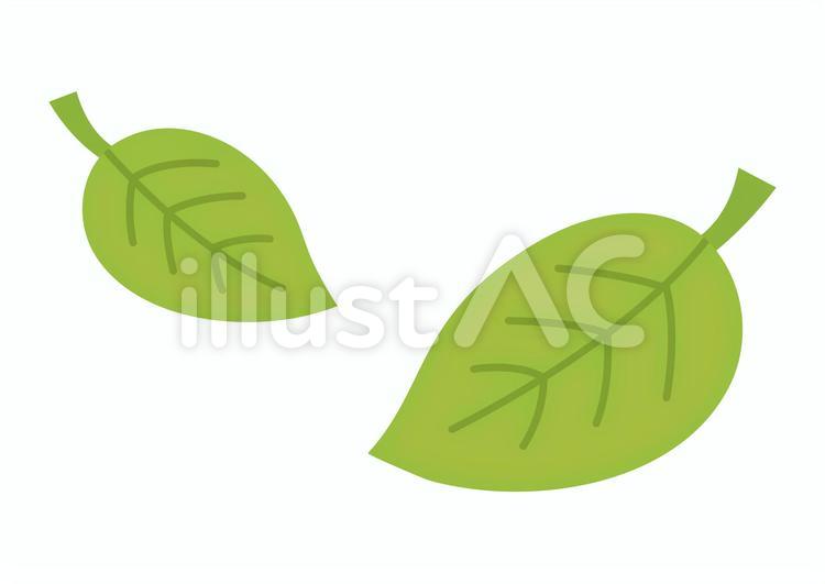 かわいい葉っぱのイラスト 線なし イラスト No 無料イラストなら イラストac