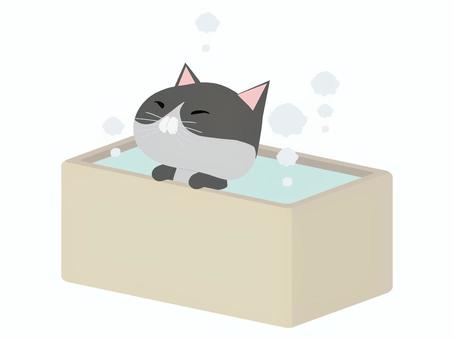 お風呂に入るはちわれ猫 お風呂,猫,はちわれ,動物,かわいい,入浴のイラスト素材