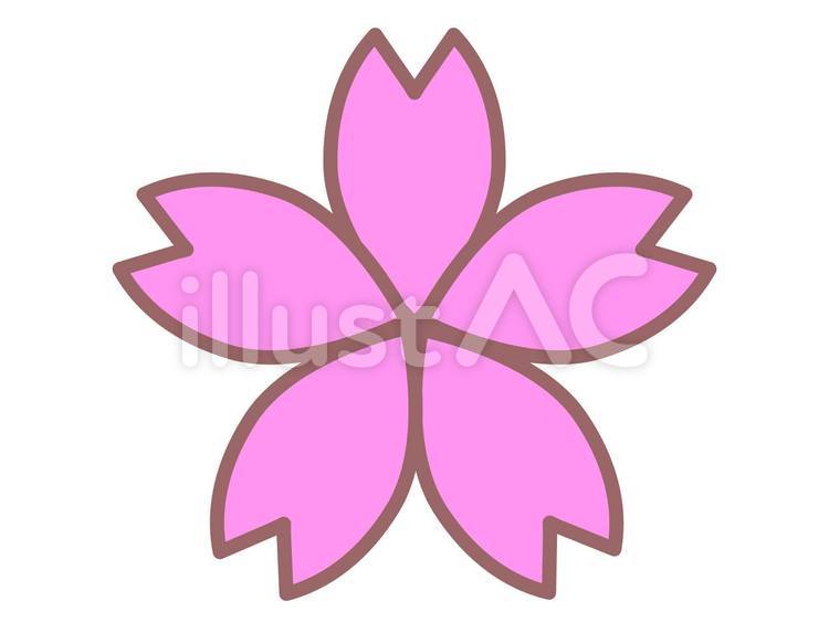 桜 桜,花,春のイラスト素材