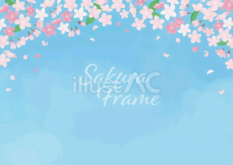 水彩桜フレーム 桜,さくら,桜吹雪のイラスト素材