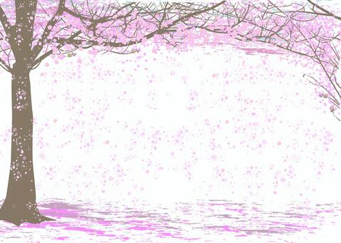 Illustration, cherry blossoms, spring, cherry-blossom viewing, JPG