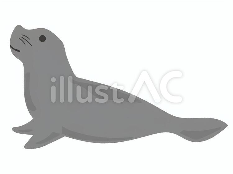 アザラシ 1イラスト No 458973 無料イラストなら イラストac