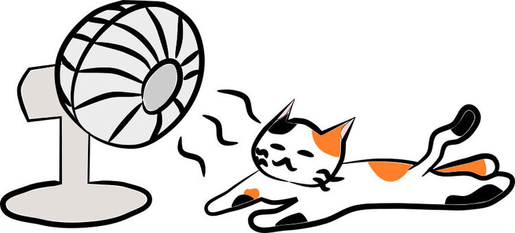 にゃんこと扇風機。三毛さん にゃんこと扇風機。三毛さん 猫,にゃんこ,ねこのイラスト素材