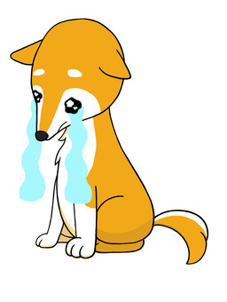 いぬのイラスト　涙あり１ いぬ,イヌ,犬,悲しい,寂しい,動物,泣く,号泣,しょんぼりのイラスト素材