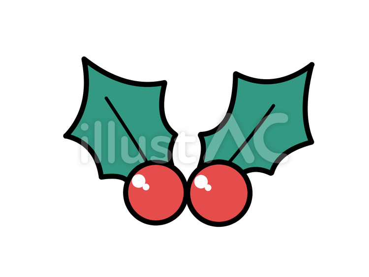 柊　クリスマス クリスマス,柊,植物のイラスト素材