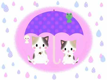 Teru teru bozu, frog, and calico cat in the rainy season, rainy season, teru teru boss, rain shelter, JPG and PNG