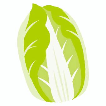 白菜のイラスト 白菜,野菜,冬,鍋,食べ物,食材,ビタミン,グリーン,シンプル,旬のイラスト素材