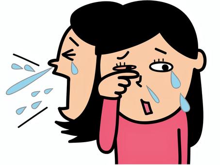 くしゃみ鼻水、涙に赤目で大変そうな女 くしゃみ,花粉症,鼻水,泣く,充血,涙,女,痒み,アレルギー,風邪のイラスト素材