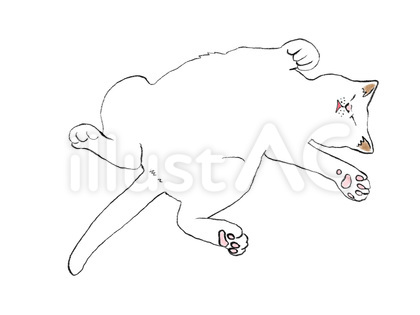 ねこ へそ天 03 白猫