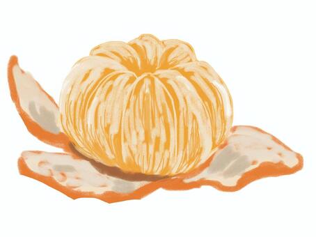剥いたみかん 剥いた,みかん,温州みかん,皮,オレンジ,果物,フルーツ,冬のイラスト素材