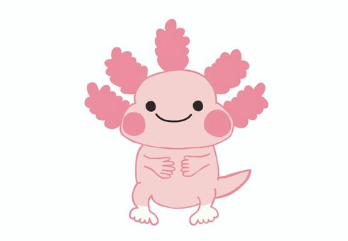 Axolotl illustration, JPG and PNG Axolotl illustration, , JPG and PNG