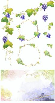 葡萄装飾 イラスト,装飾,素材,葡萄,秋,ラメ,金箔,テクスチャ,蔓,白葡萄のイラスト素材