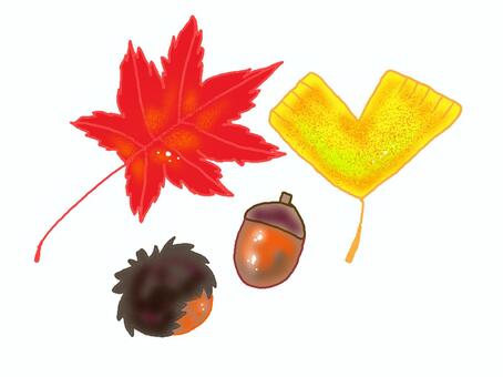 autumn, autumn, fallen leaves, autumn leaves, JPG and PNG