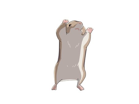 ハムスター（見上げる） ジャンガリアンハムスター,ヒメキヌゲネズミ,ドワーフハムスター,ハムスター,動物,見上げるのイラスト素材