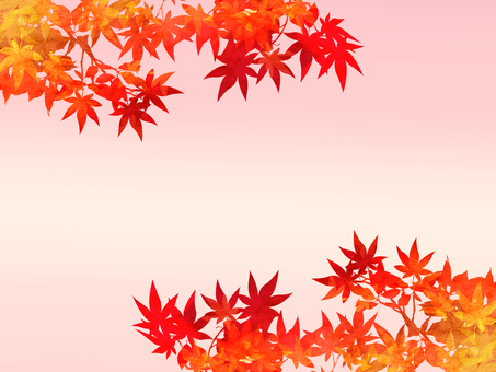 紅葉のフレーム