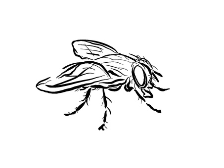 ハエ 虫 ハエ 虫 虫,アート,アイコン,pop,ハエ,web,素材,黒,シルエット,トライバルのイラスト素材