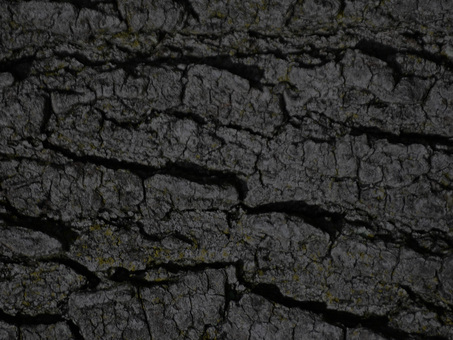 石 ストーン 背景 テクスチャ 素材 ざらざら,石,ストーン,背景,テクスチャ,素材,木のイラスト素材