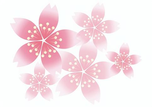 Sakura Flower 4, flower, cherry blossoms, spring, JPG, PNG and AI