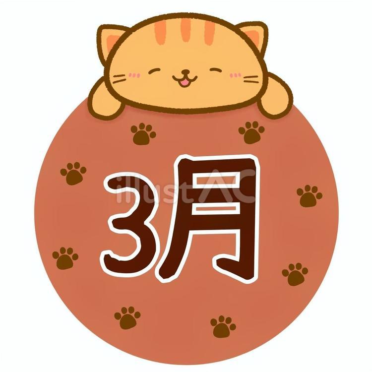 にっこり茶トラ猫の3月•茶色 3月,月,月刊のイラスト素材