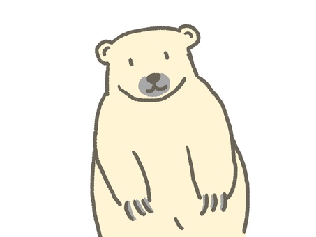 ホッキョクグマ ホッキョクグマ,シロクマ,動物,生き物,哺乳類,白,かわいい,シンプル,冬,1匹のイラスト素材
