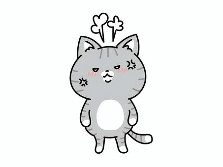声にならない怒りを抱える猫ちゃん ねこ,怒る,怒り,激怒,イライラ,ムカムカ,ぷんぷん,苛立つ,表情,感情のイラスト素材