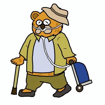 HOT (Home Oxygen Therapy) Cart (Khaki), JPG HOT (Home Oxygen Therapy) Cart (Khaki), bear, rehabilitation, pt, JPG