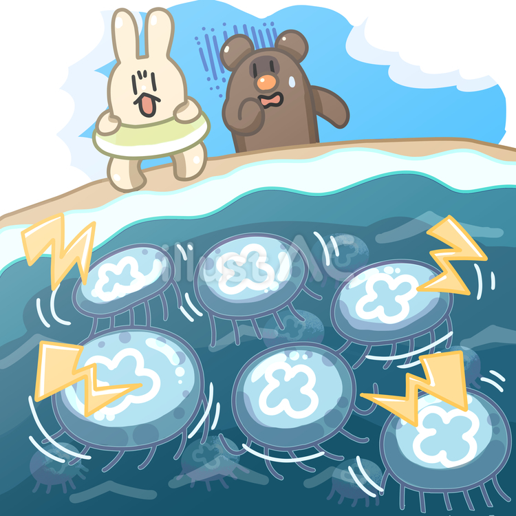 クラゲの多い海 クラゲ,海,水中のイラスト素材