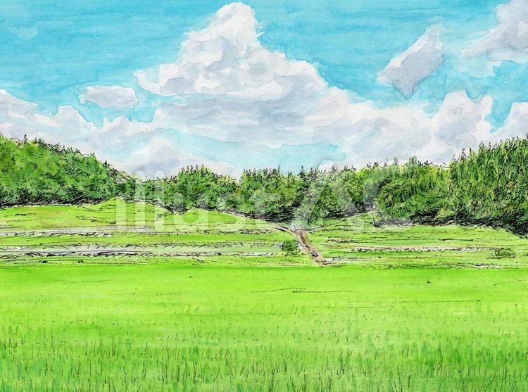 里山の夏 風景画,風景,水彩画のイラスト素材