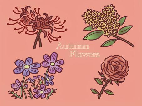 秋の花　セット　カラー