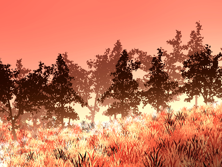 草木 秋 草木 秋 背景,グラデーション,草木,秋,夕方のイラスト素材